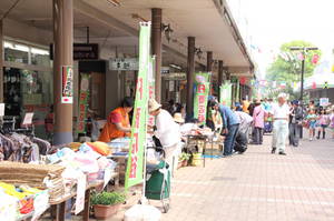 shibayama100yen120526 004.jpg